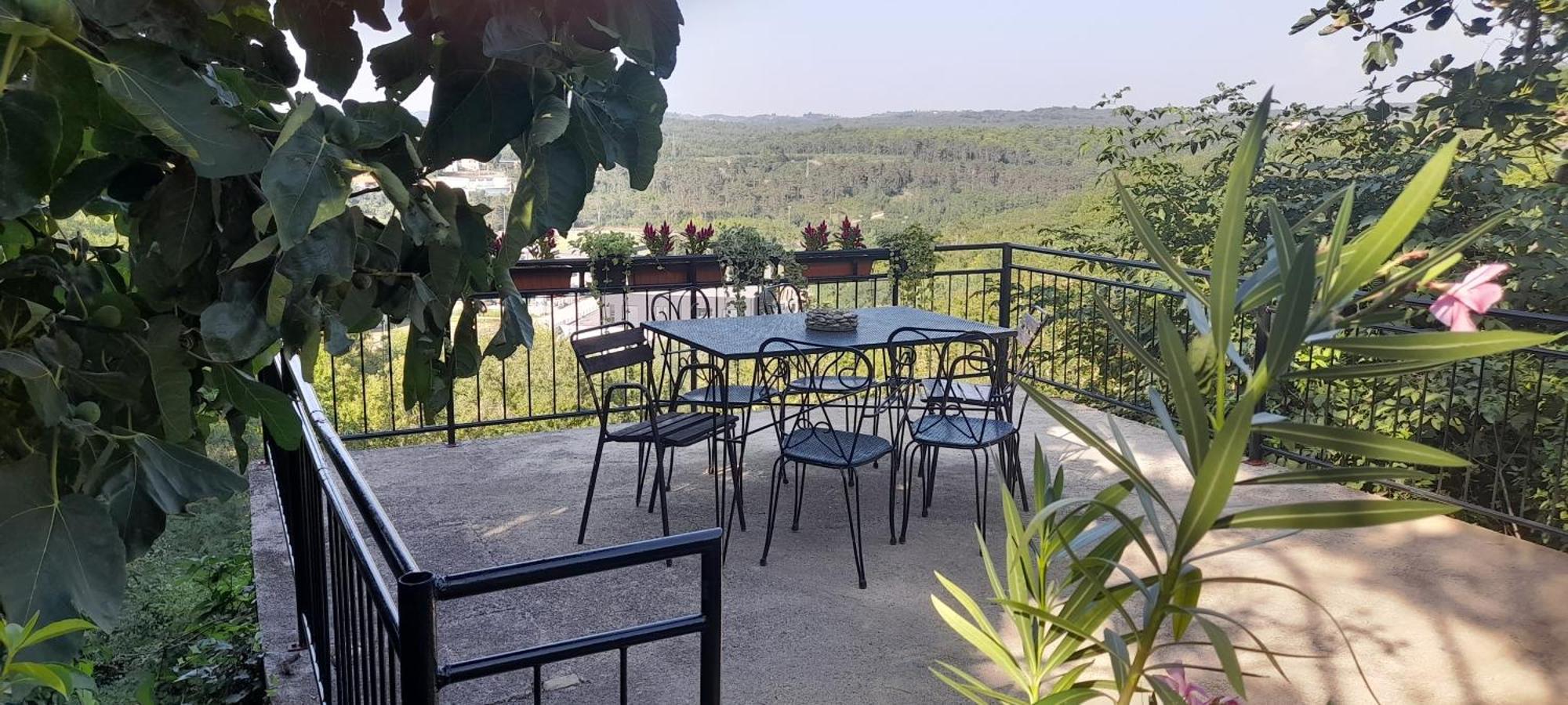 Hortensia Buje Bagian luar foto